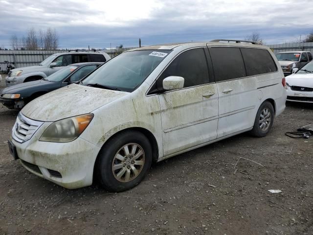 2008 Honda Odyssey EXL