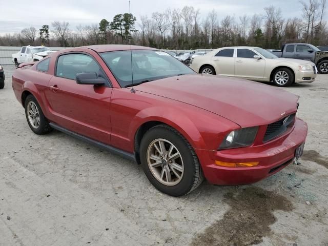 2005 Ford Mustang