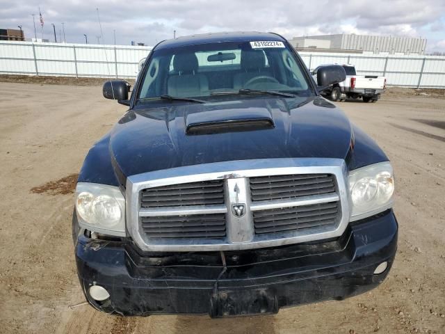 2005 Dodge Dakota SLT