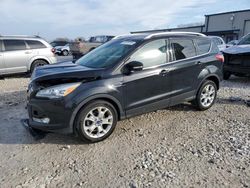 2015 Ford Escape Titanium for sale in Wayland, MI