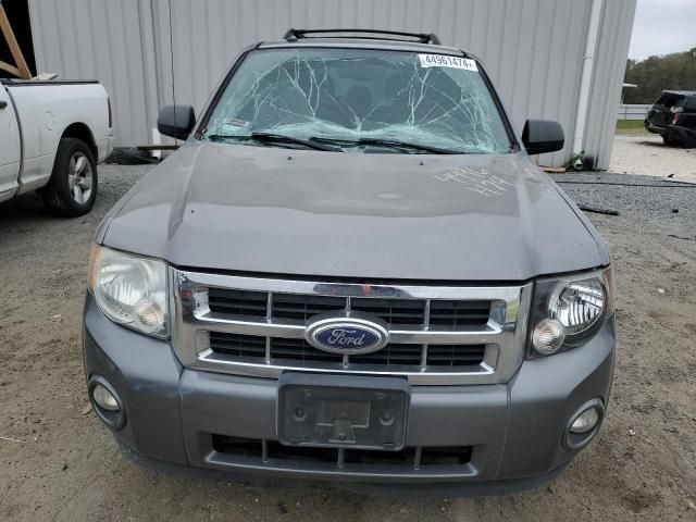 2010 Ford Escape XLT