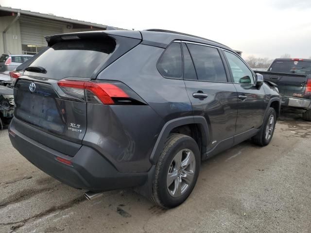 2023 Toyota Rav4 XLE