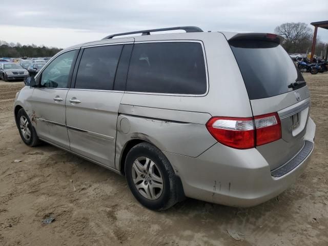 2005 Honda Odyssey EXL