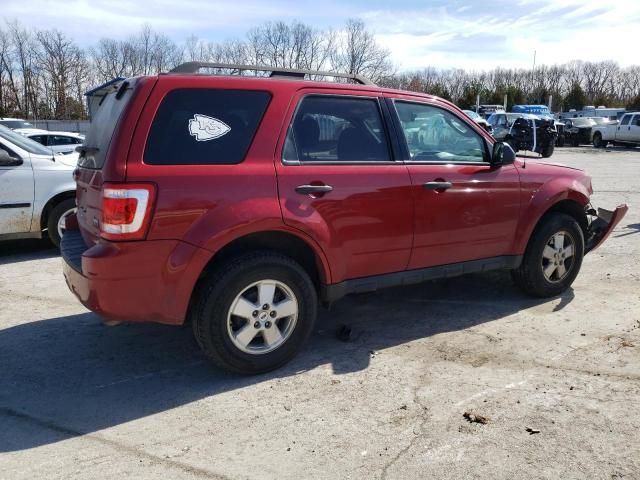 2011 Ford Escape XLT