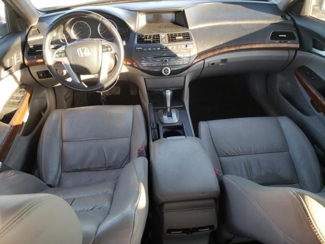 2011 Honda Accord EXL