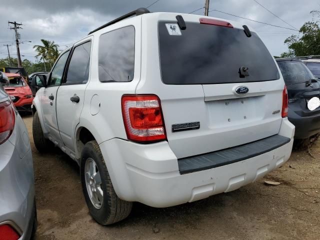 2009 Ford Escape XLT