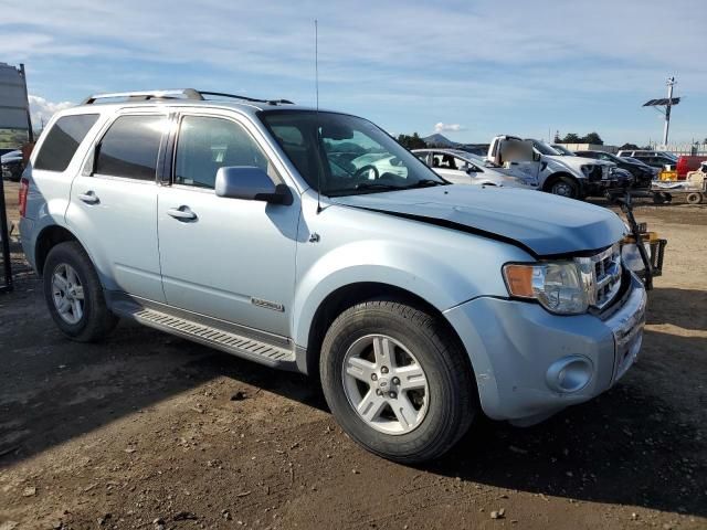 2008 Ford Escape HEV