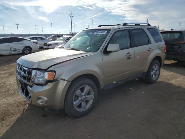 2011 Ford Escape Limited