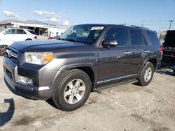 Toyota salvage cars for sale: 2010 Toyota 4runner SR5