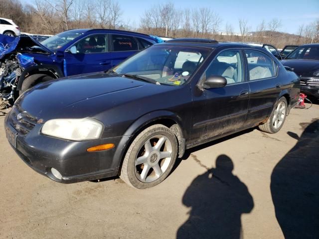 2001 Nissan Maxima GXE