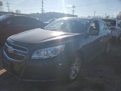 Chevrolet Malibu salvage cars for sale: 2013 Chevrolet Malibu 1LT