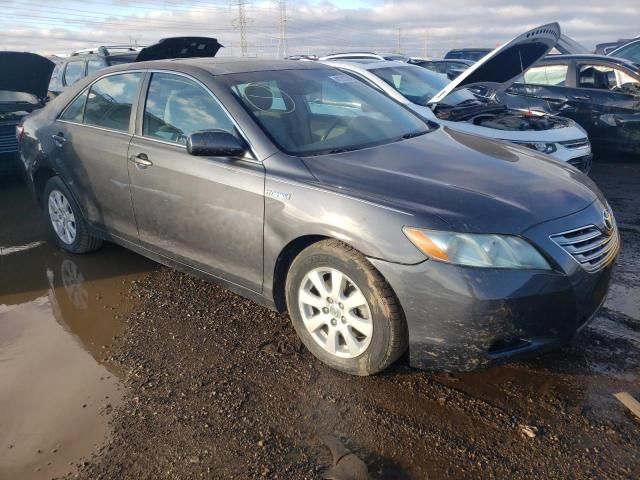 2009 Toyota Camry Hybrid