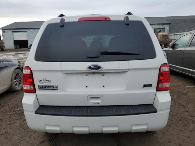 2012 Ford Escape XLT