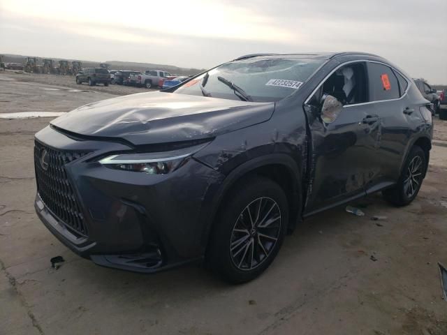 2024 Lexus NX 350H Base