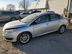 Salvage cars for sale at Blaine, MN auction: 2017 Ford Focus SE