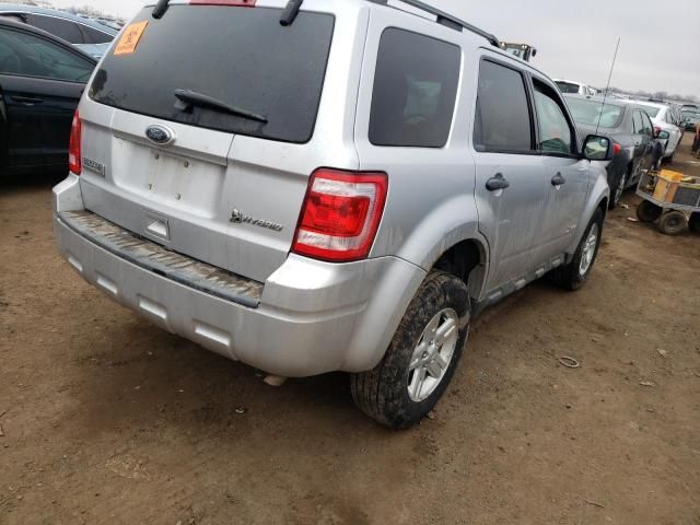 2010 Ford Escape Hybrid