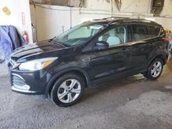 Salvage cars for sale at Casper, WY auction: 2013 Ford Escape SE