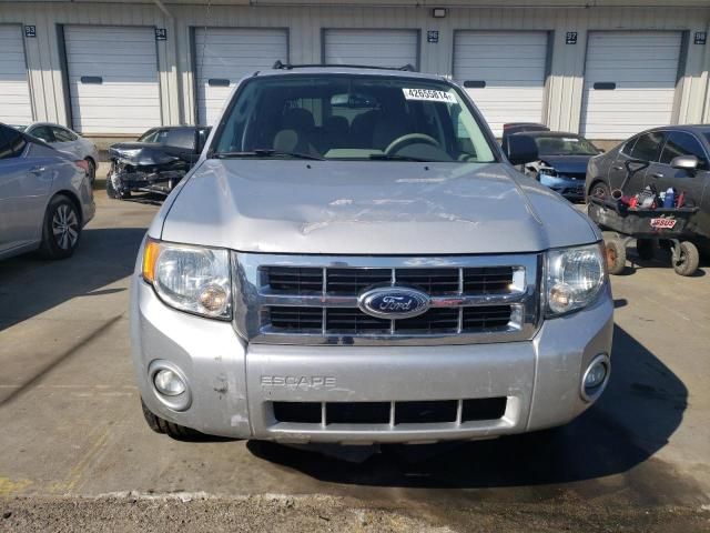 2012 Ford Escape XLT