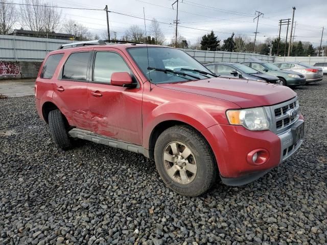 2010 Ford Escape Limited