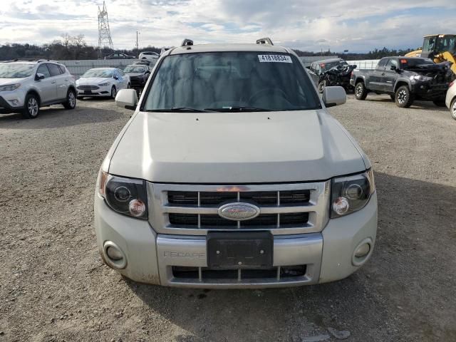 2008 Ford Escape Limited