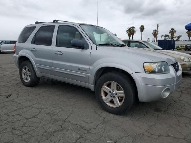 2005 Ford Escape HEV