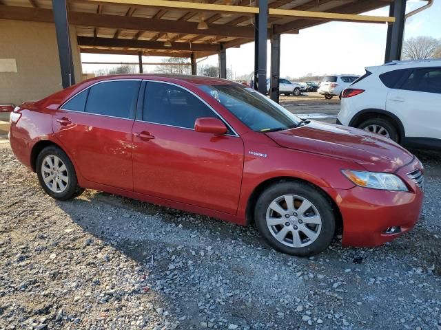 2008 Toyota Camry Hybrid