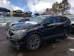 Salvage cars for sale at New Britain, CT auction: 2022 Honda CR-V EXL