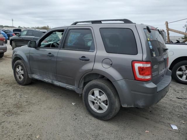 2010 Ford Escape XLT