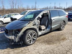 Honda Odyssey salvage cars for sale: 2018 Honda Odyssey Elite