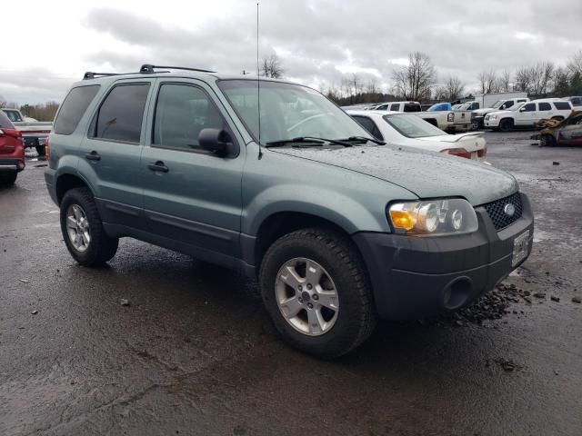 2005 Ford Escape XLT