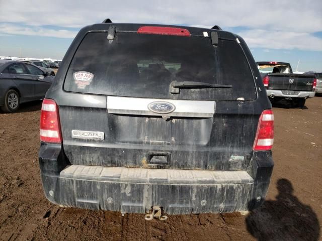 2010 Ford Escape Limited