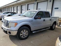 Salvage cars for sale at Louisville, KY auction: 2012 Ford F150 Supercrew