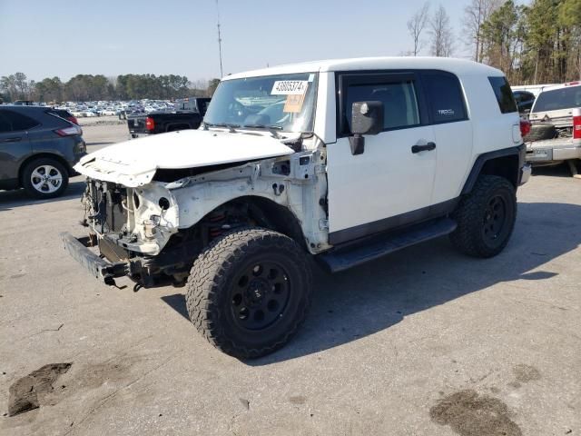 2013 Toyota FJ Cruiser