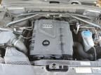 2013 Audi Q5 Premium