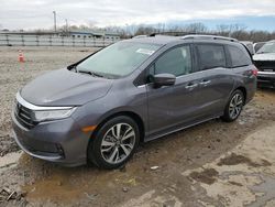 Salvage cars for sale from Copart Louisville, KY: 2021 Honda Odyssey Touring