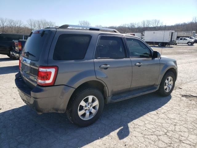 2011 Ford Escape Limited