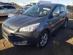 Salvage cars for sale from Copart Elgin, IL: 2014 Ford Escape SE