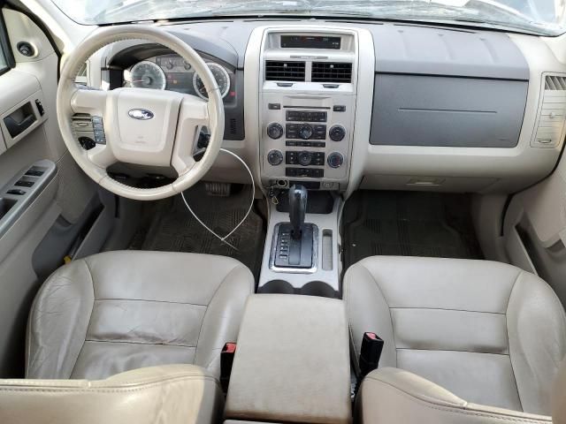 2008 Ford Escape XLT