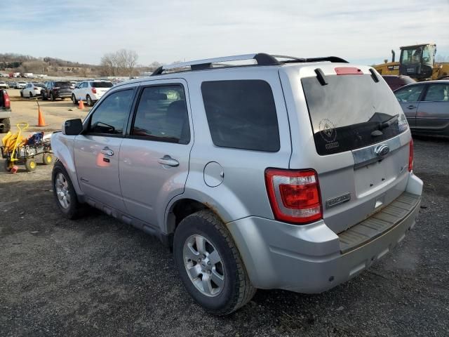 2011 Ford Escape Hybrid