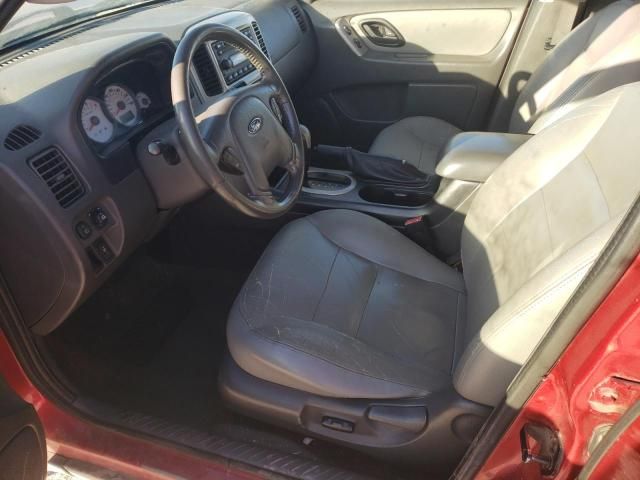 2006 Ford Escape XLT