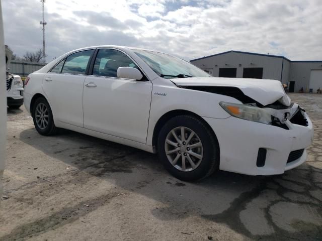 2010 Toyota Camry Hybrid