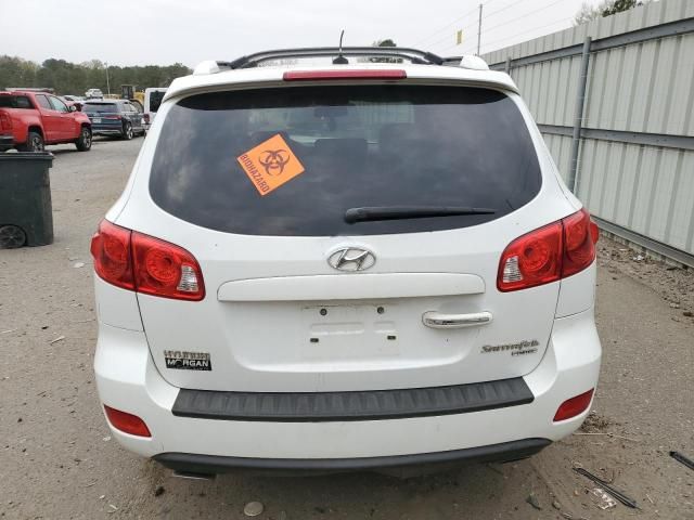 2009 Hyundai Santa FE SE