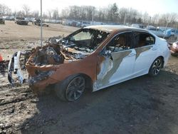 Salvage cars for sale at Chalfont, PA auction: 2017 Honda Accord EXL