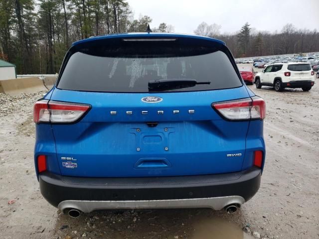 2020 Ford Escape SEL