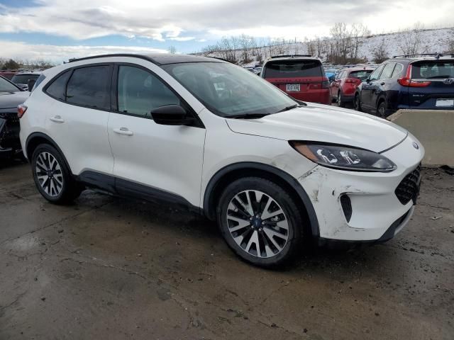 2020 Ford Escape SE Sport