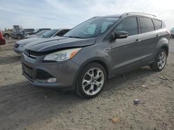 Ford Escape Titanium salvage cars for sale: 2014 Ford Escape Titanium