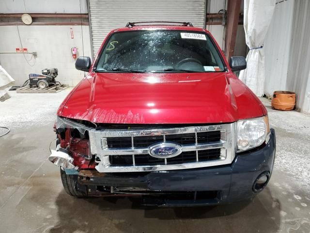 2010 Ford Escape XLT