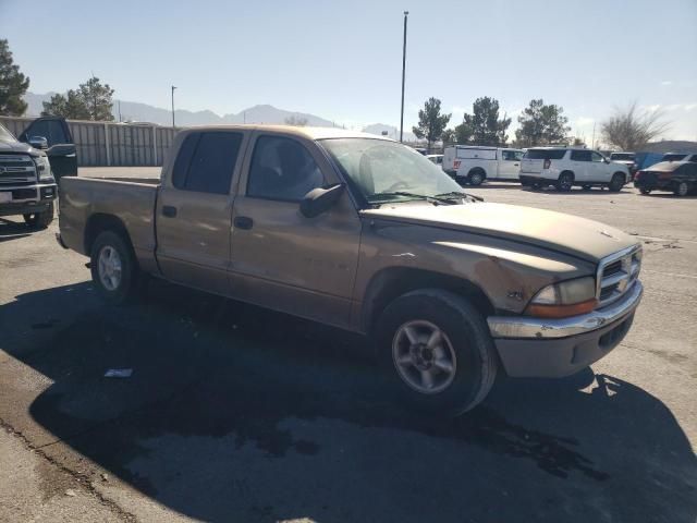 2000 Dodge Dakota Quattro