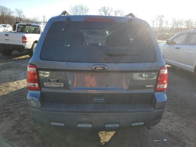 2010 Ford Escape XLT