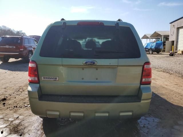 2008 Ford Escape XLT